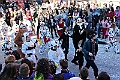 IMG_8933