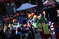 IMG_8978