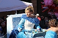 IMG_0083