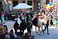 IMG_0124