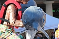 IMG_0216