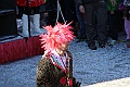 IMG_0307