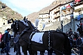 IMG_0479