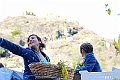 IMG_0497