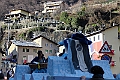 IMG_0502