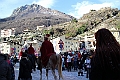 IMG_0507