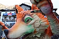 IMG_0596