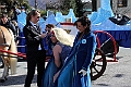 IMG_9953