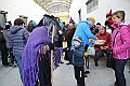 IMG_0400