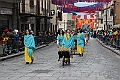 IMG_2317