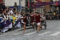 IMG_9914