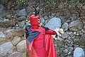IMG_9230