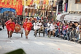 IMG_3392