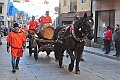 _DSC0681