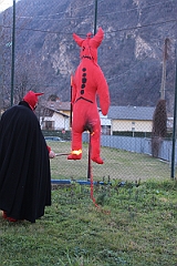 IMG_7961