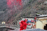 IMG_2494